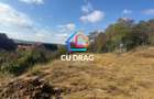 OPORTUNITATE TEREN Bungard INTRAVILAN cu toate utilitatile