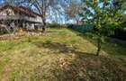 Teren +casa de vanzare Buftea - 5