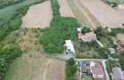 Casă individuală cu 5 camere cu Canalizare în Frumușani - 3