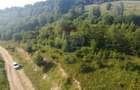 Teren de vanzare in Salicea, 10000 MP , Zona Moara de vant! - 2