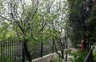 Vila de vanzare   Iancu Nicolae   Serban Cantacuzino - 5