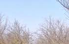 Casă cu Teren 18500 Mp în Armășești - 1