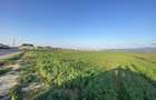 Teren agricol extravilan de 5750 mp, în Vulcan - 1