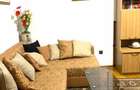 Apartament 3 camere Dorobanti - Capitale - 14