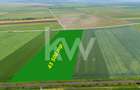 Teren agricol de 6214 mp, în Hărman - 11