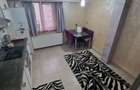 2 camere,decomandat,70 mp, parcare,MARASTI-SEMICENTRAL,BRD, THE OFFICE - 7