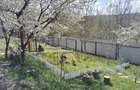 Casa si teren in natura (urgent) - 1