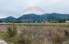 Teren 440mp Sacele - Strada Gospodarilor - 10
