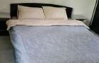 Apartament cu 2 camere, mobilat în Titan - 1