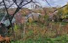 Casă cu 4 camere cu Garaj în Mănăștur - 8