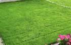 Privat! Duplex de vanzare in Dealul Furcilor cu 500 mp teren - 1