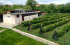 Casa Garaj cu teren de vanzare - 5