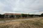 Spațiu industrial, de 7,000 mp, în Exterior Nord - 18