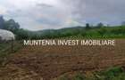 Proprietate de vanzare tip ferma, teren 28150 mp. Balilesti, Arges - 3