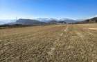 Teren de 2800 mp, în Turnu Roșu - 10