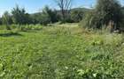 Teren intravilan de vanzare 13 MP - 3