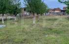 Teren intravilan 1500mp , zona Cionchesti - Cionchesti (Satu-Mare)