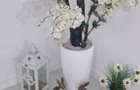 CASE PARTER, FINISATE, TOATE UTILITATILE, 185000 EURO TVA INCLUS - 5