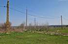 Ferma de vanzare 8 ha Bals, judetul Olt - 13