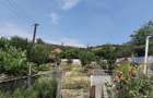 Casă cu 3 camere în Nădăștia de Jos - 8