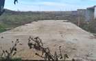 Ferma de vanzare , zona Dambu - 6