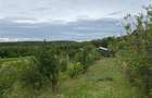 Casă individuală cu 2 camere cu Teren 2889 Mp în Hidișelu de Sus - 10
