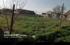Teren de 1439 mp, în Bobda - 4