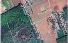 Vanzare teren constructie casa CIOFLICENI - SNAGOV - 1