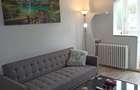 Apartament 2 camere DrumulTaberei, Raul Doamnei - 2