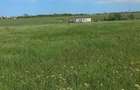 Teren agricol extravilan de 2496 mp, în Periferie - 5