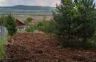 teren pentru cabana, langa padure, in Micesti - 1