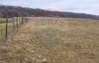 Teren 2925 mp comuna Mitocu Dragomirnei - 19