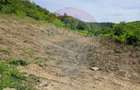 Teren intravilan pentru casa din doua parcele a cate 800mp fiecare - 2