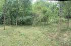 Vand teren intravilan zona A Triaj Re?i?a - 2