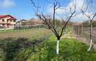 Casă cu 3 camere cu Teren 1476 Mp în Gruiu - 3