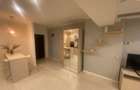 Apartament cu 2 camere semidecomandat în Herăstrău - 2