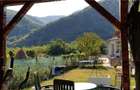 Casa de vacanta in Herculane - ID : RH-23254-property - 4