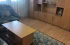 Apartament cu 2 camere semidecomandat în Cetate - 4