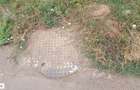Teren de 700 mp, în Dragomirești-Vale - 9