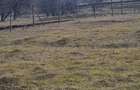 Teren de 4200 mp, în Drajna - 2