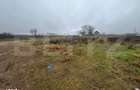 Teren intravilan, 450 mp cu front stradal de 30 ml, Malu Mare - 2