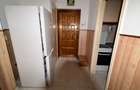 Apartament cu 2 camere semidecomandat în Gojdu - 7