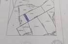 Vanzare teren agricol - 1