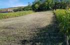 Vand 1200m teren intravilan in Comuna Caianu, jud. Cluj - 5