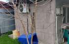 Vand casa mobilata in ora?ul Rosiori de Vede - 4
