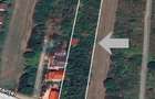 Vanzare teren intravilan 5014mp Afumati - Strada Sperantei - 4