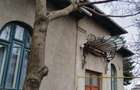 Casa individuala, 4 camere, zona Stadion Ilie Oana - 8