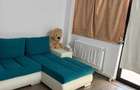 Apartament cu 2 camere decomandat în Agigea - 3
