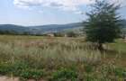 Teren Chicirea (Tomesti) 1.219 mp, 20 euro/mp ( 25.000 ) - 6