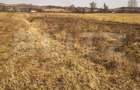 Teren extravilan de vanzare, 40 ARI, zona Racsa - 4
